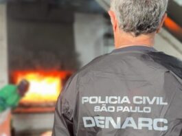 Quase 200 toneladas de drogas são apreendidas em todo o Estado