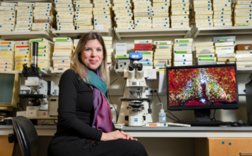 Pesquisadores descobrem conjunto de neurônios responsáveis pela febre e pelo torpor