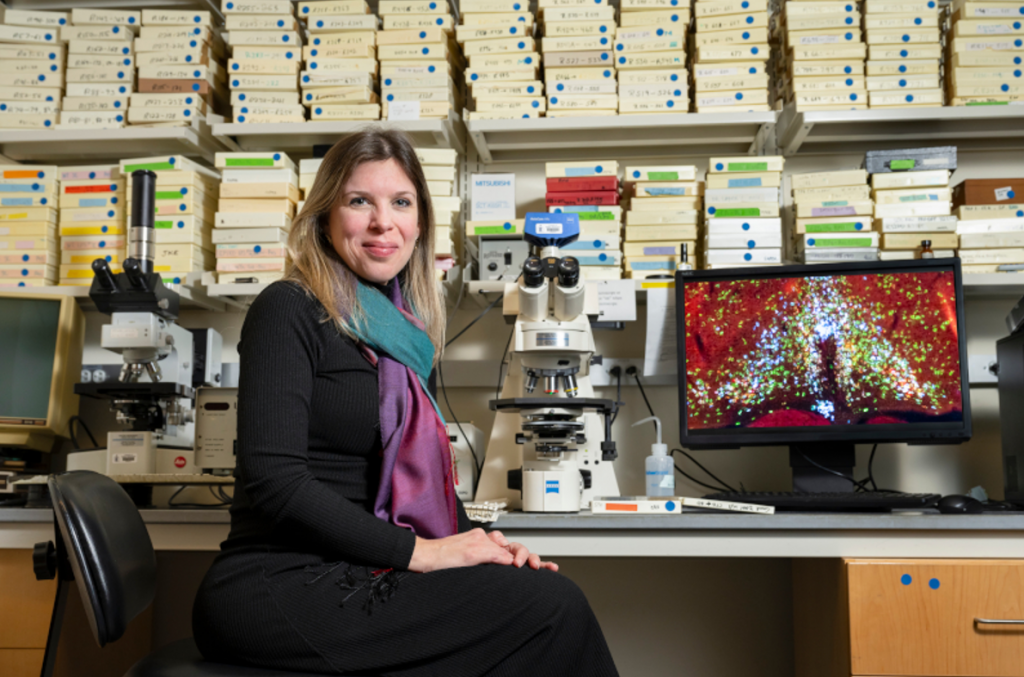 Captura-de-tela-2025-12-05-100836-1024x677