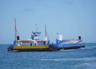 VÍDEO: Tripulação de balsa resgata cachorro que pulou no mar na travessia São Sebastião–Ilhabela