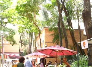 Shopping Pátio Higienópolis Apresenta Nova Edição de “Pátio Criativo” em Dezembro