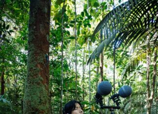 Nature x LABVERDE transforma sons da Amazônia em coletânea musical que é ferramenta de conservação