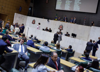 Plenário da Alesp aprova Orçamento estadual para 2026; receita prevista é de R$ 382,3 bilhões