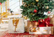 Milon lança campanha de Natal com kits exclusivos de ursinhos para compor a decoração da árvore e embalagem especial em Santa Catarina