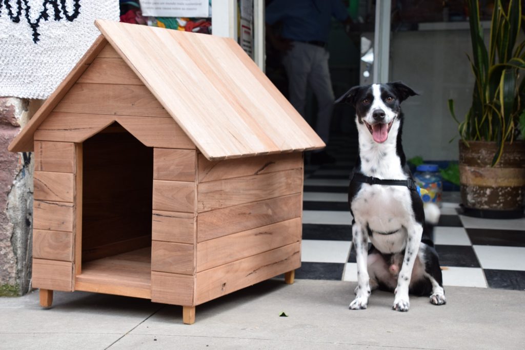 WhatsApp-Image-2026-01-15-at-16.48.151-1024x682