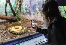 Parque da Ciência tem programação especial nesta semana para celebrar 125 anos do Instituto Butantan