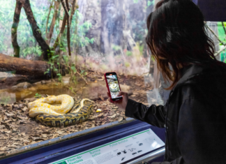 Parque da Ciência tem programação especial nesta semana para celebrar 125 anos do Instituto Butantan