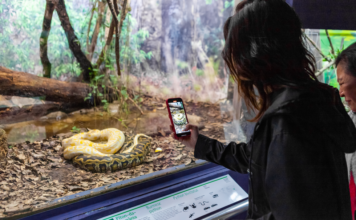 Parque da Ciência tem programação especial nesta semana para celebrar 125 anos do Instituto Butantan