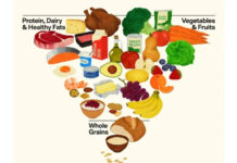 Nova pirâmide alimentar em debate: o que muda na prática e onde mora o risco dos excesso