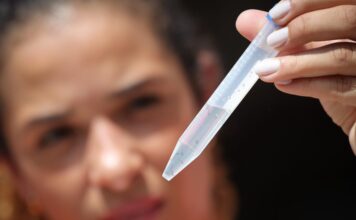 Altas temperaturas favorecem mosquito da dengue; veja como prevenir