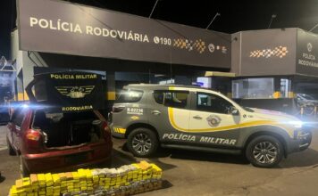 PM apreende mais de 200 kg de maconha em rodovia no interior de SP