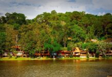 SP lança programa para impulsionar o turismo rural