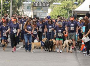 Circuito Pet Run Shopping Eldorado 2026 abre calendário nacional com experiência única para tutores e pets