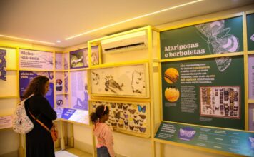 Planeta Inseto: Museu do Instituto Biológico de SP transforma ciência em experiência educativa