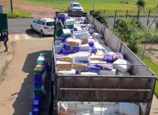 PM de SP apreende 24 toneladas de drogas em rodovia na região de Rio Preto