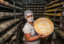 Produção artesanal de queijo avança em São Paulo e conquista reconhecimento estadual