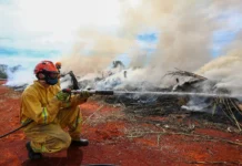 Defesa Civil alerta para alto risco de incêndios florestais na região de Araçatuba neste sábado (11)