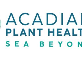 Acadian anuncia vencedores da primeira edição do Projeto Jovem Cientista com pesquisas sobre solos e extratos de algas marinhas
