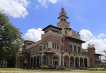 Museu Catavento abre sala dedicada ao bicho-pau e seções dedicadas à genética e profissões do futuro