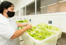Estado de SP tem 914 vagas de emprego no setor de alimentação nesta segunda-feira (17); confira