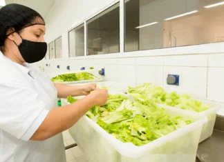 Estado de SP tem 914 vagas de emprego no setor de alimentação nesta segunda-feira (17); confira