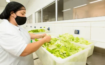 Estado de SP tem 914 vagas de emprego no setor de alimentação nesta segunda-feira (17); confira